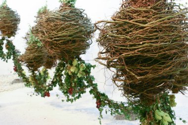 Hong Kong çiçek fuarındaki ikebana gösterisi, 20 Mrach 2005