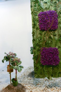 Hong Kong çiçek fuarındaki ikebana gösterisi, 20 Mrach 2005