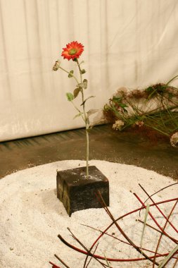 Hong Kong çiçek fuarındaki ikebana gösterisi, 20 Mrach 2005