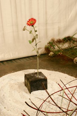 Hong Kong çiçek fuarındaki ikebana gösterisi, 20 Mrach 2005
