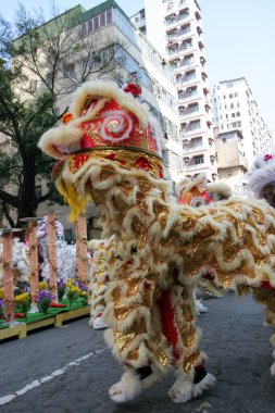 20 Mart 2005 Tai Kok Tsui Tapınağında aslan dansı