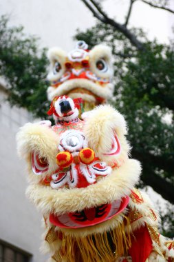 20 Mart 2005 Tai Kok Tsui Tapınağında aslan dansı