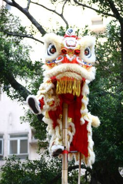 20 Mart 2005 Çin yeni yılı için Çin aslanı dansı.