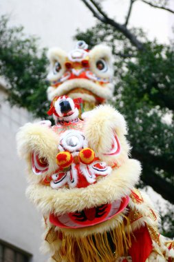 20 Mart 2005 Çin yeni yılı için Çin aslanı dansı.