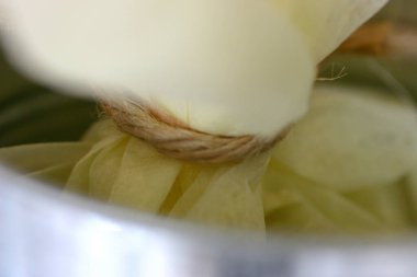 27 Mart 2005. Bir çuval bezi. 