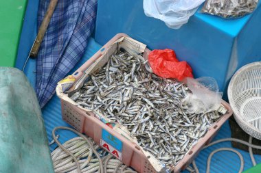 2 may 2005 sells dry seafood in boat at sai kung
