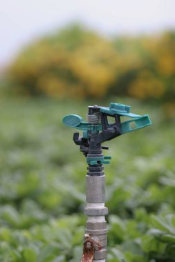 Otomatik fıskiye sistemi yeşil çimlerin arka planında çimleri suluyor
