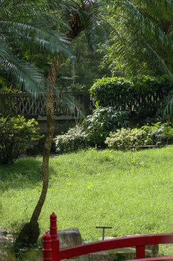 16 May 2005 the plants at the out door with nature back ground