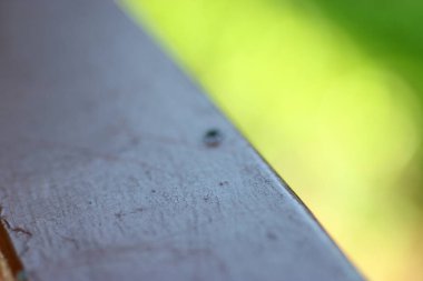 22 May 2005 Stainless steel texture close up