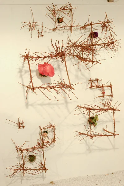 Esposizione Ikebana All Esposizione Fiore Kong Hong Mrach 2005 — Foto Stock