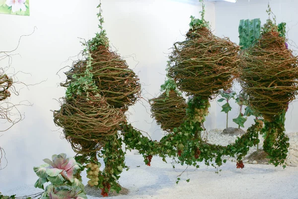 Ikebana Display Hong Kong Flower Show Mrach 2005 — Stock Photo, Image