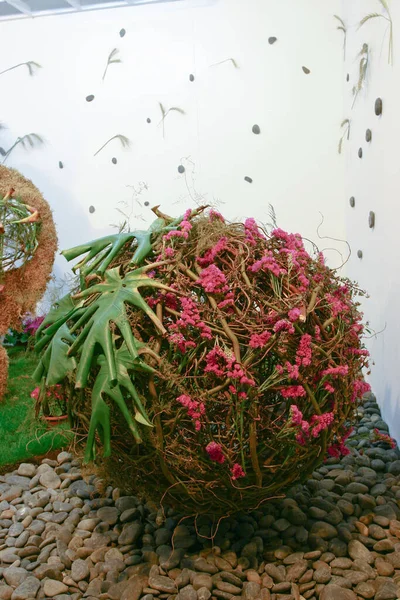 Exposition Ikebana Salon Des Fleurs Hong Kong Mrach 2005 — Photo