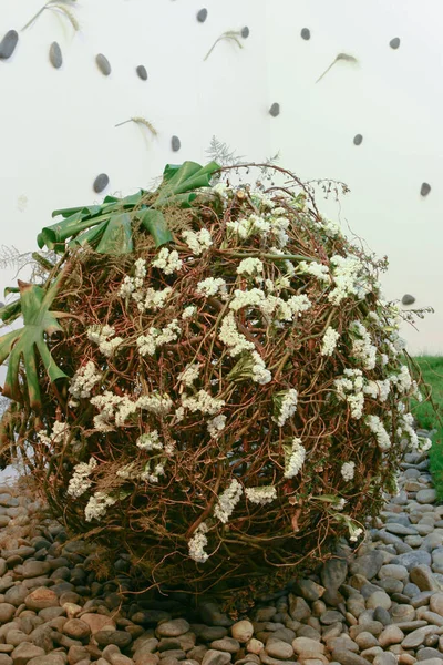 Esposizione Ikebana All Esposizione Fiore Kong Hong Mrach 2005 — Foto Stock