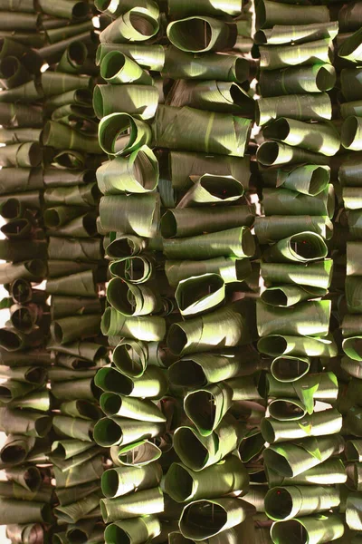 Naturalne Zielone Liście Tło Ściany Bez Wzoru — Zdjęcie stockowe