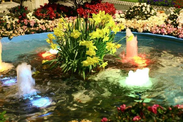 Maart 2005 Hong Kong Flower Show Victoria Park Hong Kong — Stockfoto