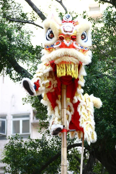 Μαρτίου 2005 Κινεζικό Λιοντάρι Χορεύει Για Κινεζικό Νέο Έτος — Φωτογραφία Αρχείου
