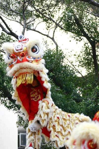 Марта 2005 Китайский Танец Льва Китайского Нового Года — стоковое фото