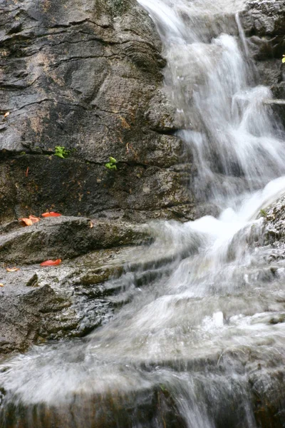 Mars 2005 Vattenfall Vid Hong Kong Park — Stockfoto