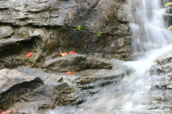 March 2005 Waterfall Hong Kong Park — Stock Photo, Image