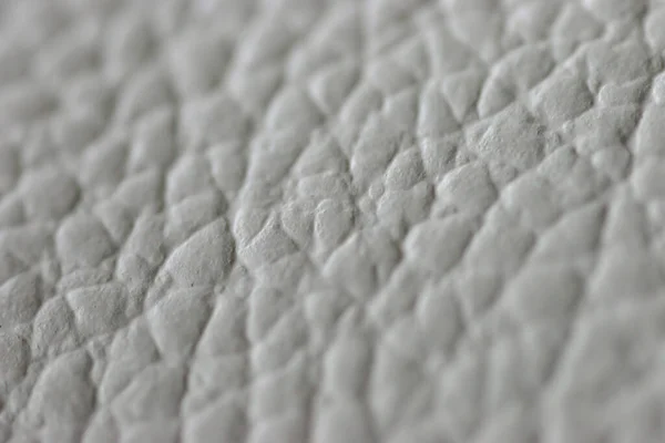 Marzo 2005 Fondo Blanco Bronce Cuero Plateado Textura —  Fotos de Stock