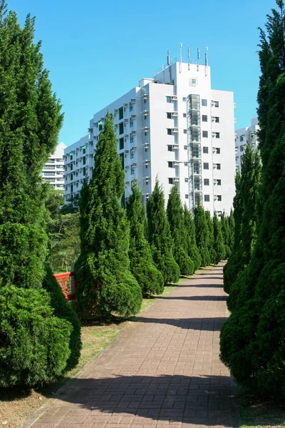 Mei 2005 Voetpad Met Boom Bij Hkust — Stockfoto