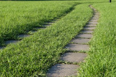 Bahçedeki yeşil çimlerin üzerinde bir taş yol.