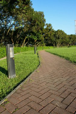 22 Mayıs 2005 doğanın arka planında yolu olan çimler.