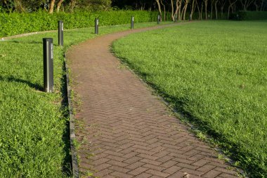 Bahçedeki yeşil çimlerin üzerinde bir taş yol.
