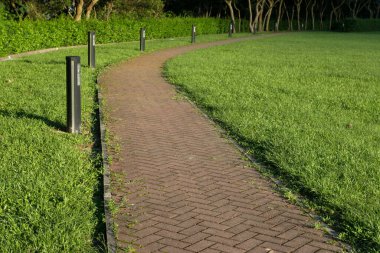 Bahçedeki yeşil çimlerin üzerinde bir taş yol.