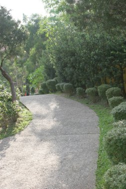 29 Mayıs 2005 Güneş ışınlarıyla aydınlatılan güneşli yeşil ormanda dolambaçlı çakıl yolu