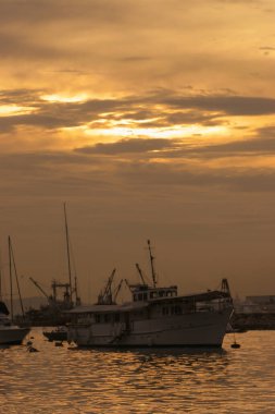 4 Haziran 2005 Tayfun Barınağı, Hong Kong 'un batımı