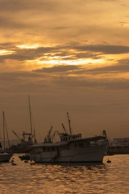 4 Haziran 2005 Tayfun Barınağı, Hong Kong 'un batımı