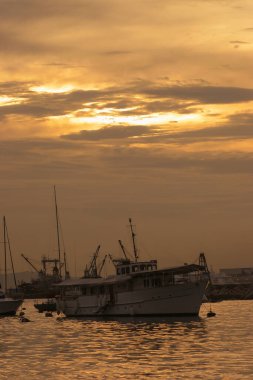 4 Haziran 2005 Tayfun Barınağı, Hong Kong 'un batımı