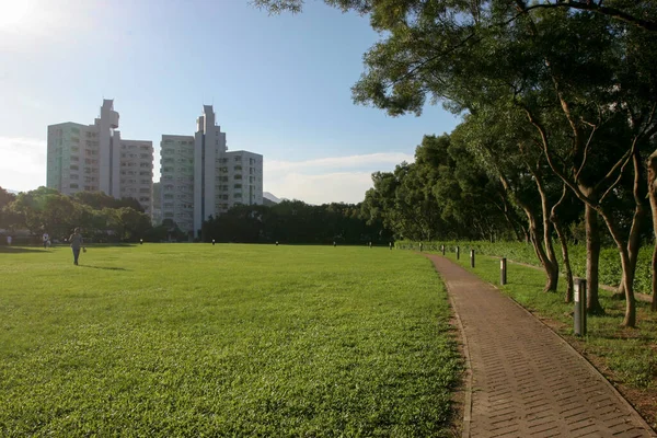 2005年5月22日香港科技大学的草地景观 — 图库照片