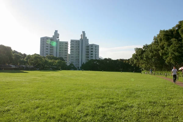 Mei 2005 Het Graslandschap Bij Hkust — Stockfoto