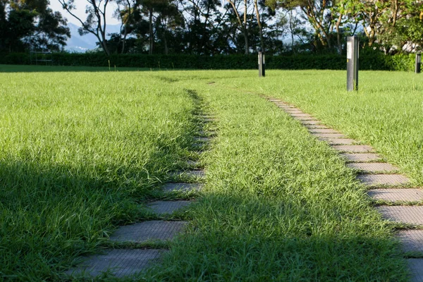 Каменная Дорожка Зеленой Траве Саду — стоковое фото