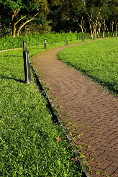 庭の緑の草の上の石の道 — ストック写真