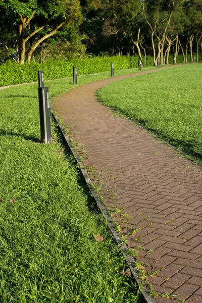 庭の緑の草の上の石の道 — ストック写真