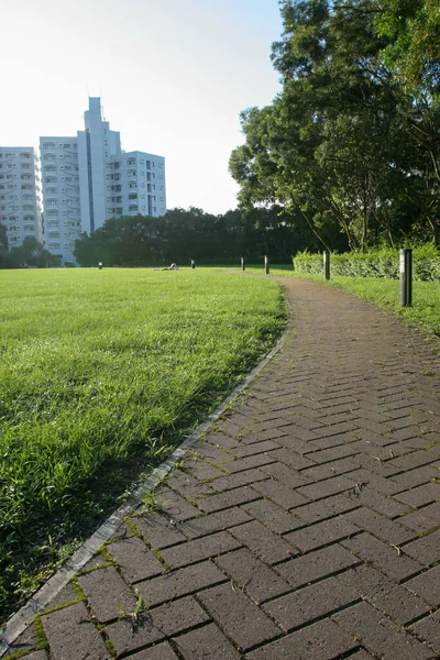 Mei 2005 Het Graslandschap Bij Hkust — Stockfoto