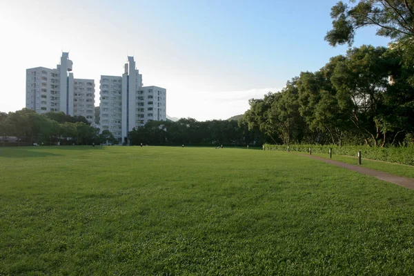 2005年5月22日香港科技大学的草地景观 — 图库照片