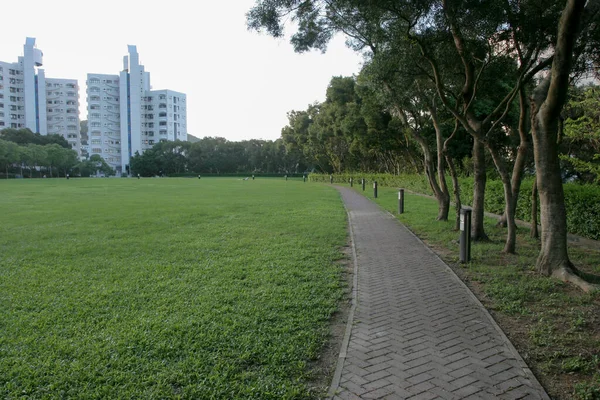 Május 2005 Grass Landscape Hkust — Stock Fotó