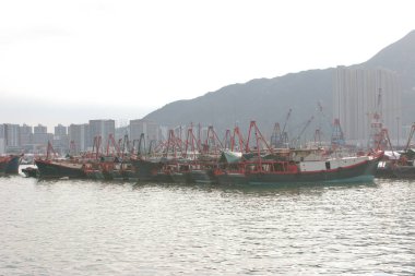 11 Haziran 2005 Tuen Mun Tayfun Sığınağı, Hong Kong
