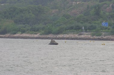 11 Haziran 2005 'te Tuen Mun' da Chek Kap Kok görüldü.