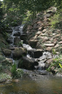 11 Haziran 2005. Yuen Long Park 'taki küçük şelale.