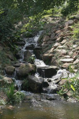 11 Haziran 2005. Yuen Long Park 'taki küçük şelale.