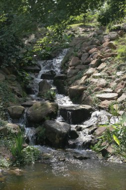 11 Haziran 2005. Yuen Long Park 'taki küçük şelale.