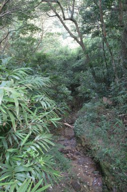 Aberdeen 'e bir nehir düştü.