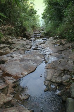 Aberdeen 'e bir nehir düştü.