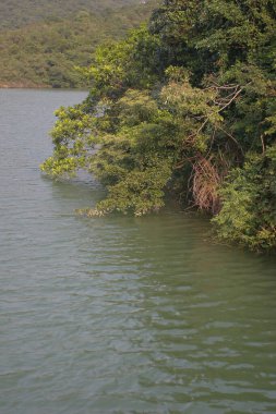 Aberdeen 'in Yukarı Rezervuar manzarası, Hong Kong
