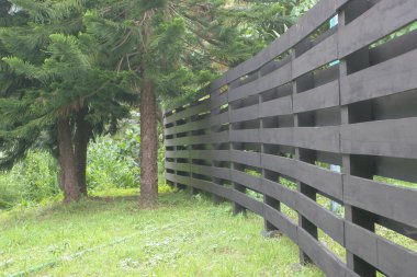 8 Ekim 2005 Aberdeen Doğa Yolu, Doğa Yolu